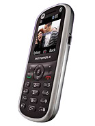 Best available price of Motorola WX288 in Gabon
