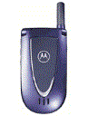 Best available price of Motorola V66i in Gabon